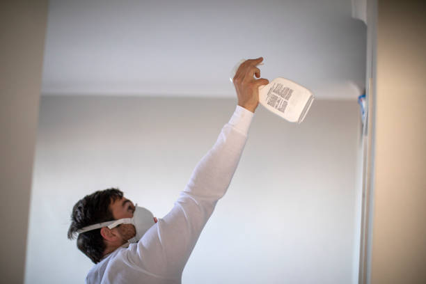 Best Office Mold Removal Services  in Kensett, AR