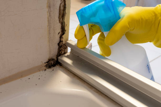Best Mold Cleaning Services  in Kensett, AR
