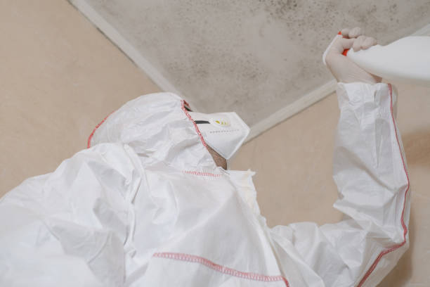 Best Mold Removal Process  in Kensett, AR
